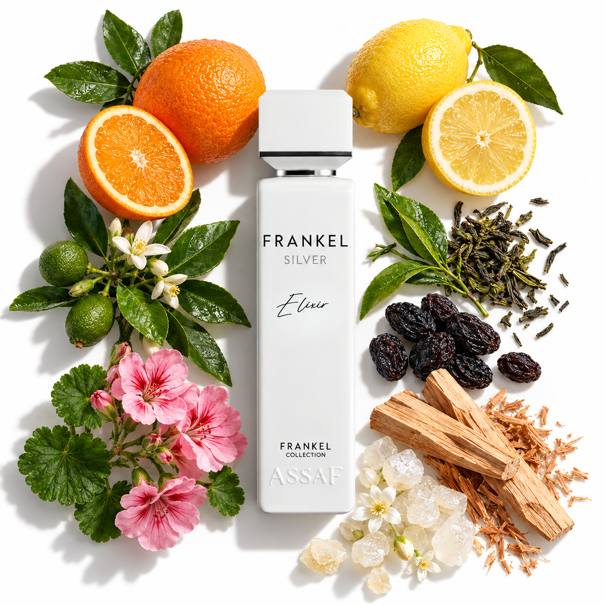 Frankel Silver Elixir - ASSAF